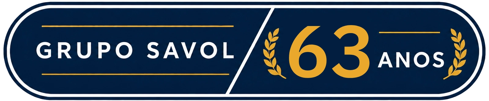 Grupo Savol 60 anos